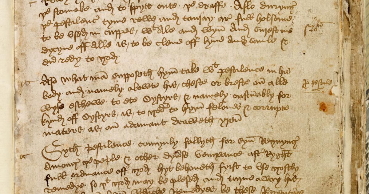 Western Medieval Manuscripts : Miscellany of household information