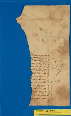 Letter Mosseri IV.86.2