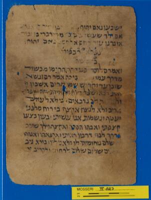 Bible Mosseri IV.227