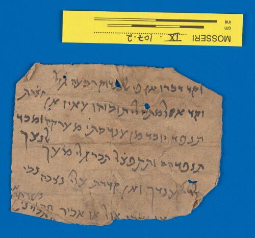 1v