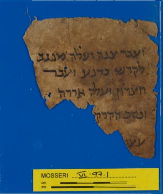 Bible Mosseri VI.97.1
