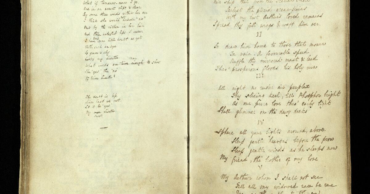 Tennyson : Notebook 'X'