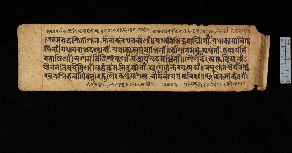 Sanskrit Manuscripts : Raghuvaṃśa