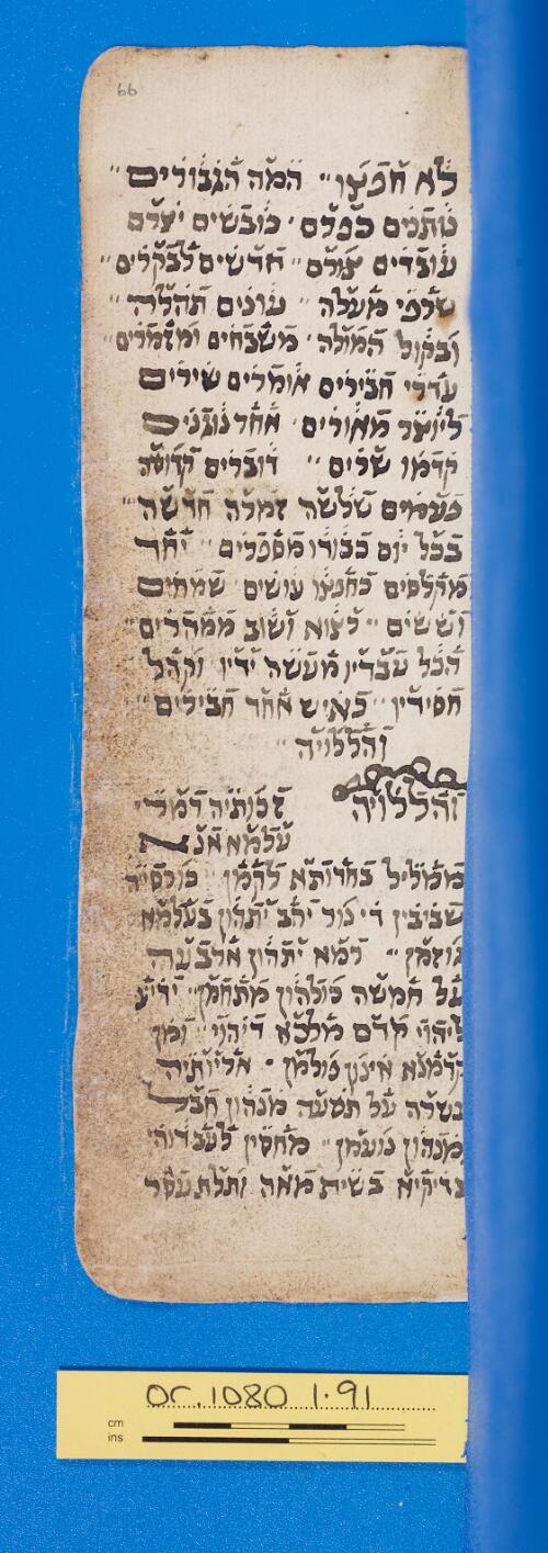 66r