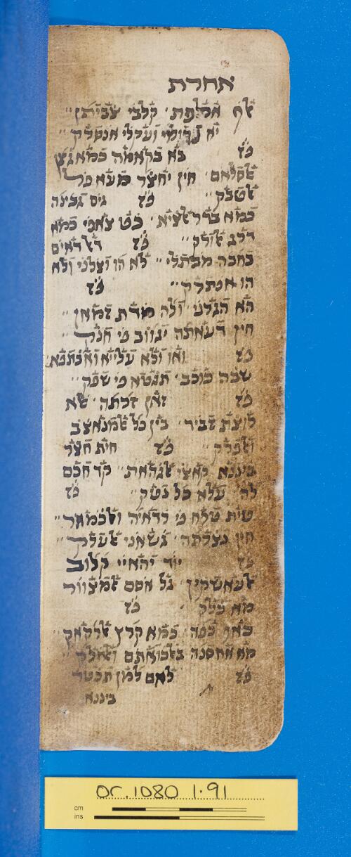102v
