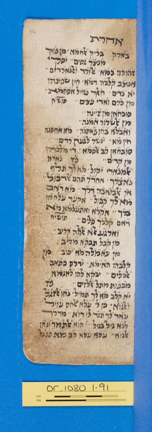 116r