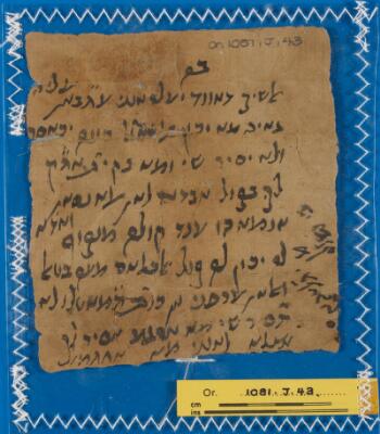 Genizah Fragment Or.1081 J43
