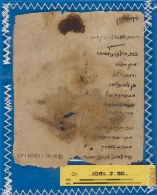Genizah Fragment Or.1081 J50