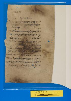 Genizah Fragment T-S 8F3.1