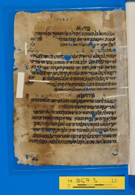 Genizah Fragment T-S 8G7.3