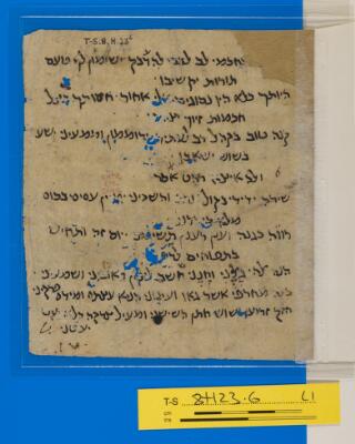 Genizah Fragment T-S 8H23.6