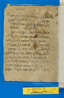 Genizah Fragment T-S 8K22.3