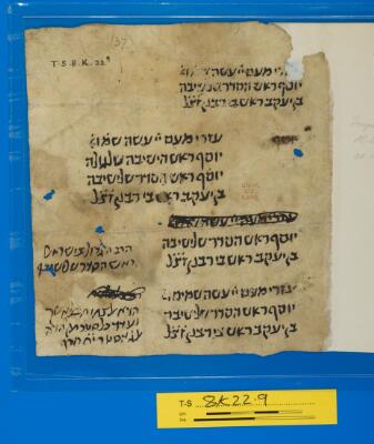 Genizah Fragment T-S 8K22.9