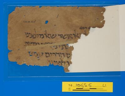 Genizah Fragment T-S 10G5.5