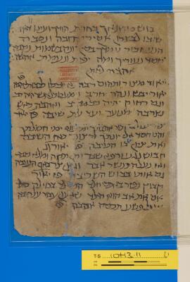 Genizah Fragment T-S 10H3.11