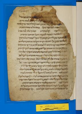 Genizah Fragment T-S 10H11.1