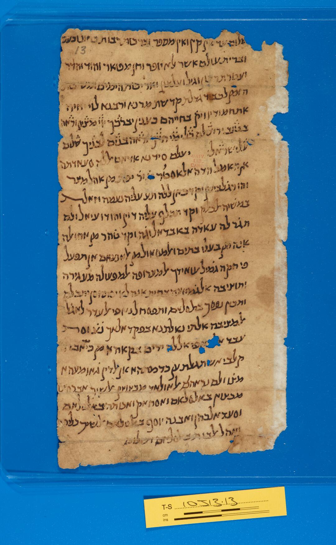 Tassium Letters Letter: T-S 10J13.13