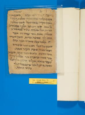 Genizah Fragment T-S 10K20.9