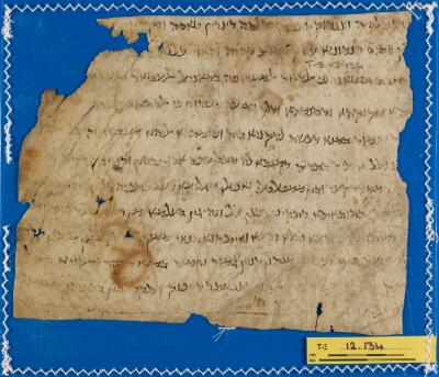 Genizah Fragment T-S 12.134