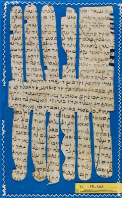 Genizah Fragment T-S 12.141