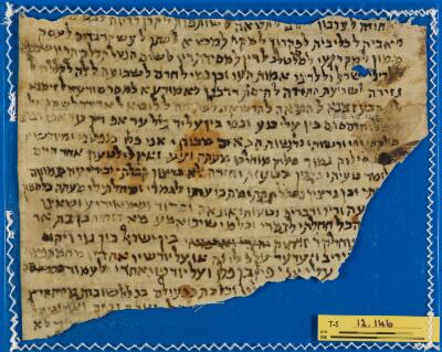 Genizah Fragment T-S 12.146
