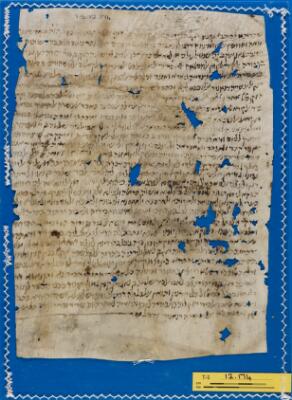 Genizah Fragment T-S 12.174