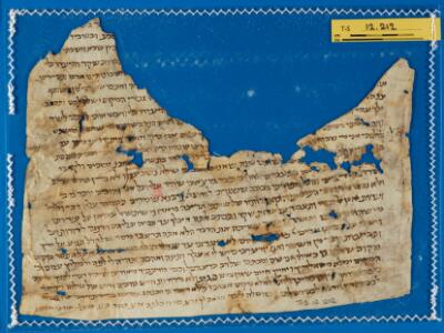 Genizah Fragment T-S 12.212