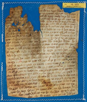 Genizah Fragment T-S 12.223