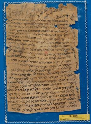 Genizah Fragment T-S 12.228