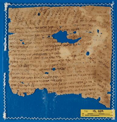 Genizah Fragment T-S 12.229