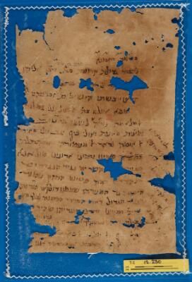 Genizah Fragment T-S 12.230