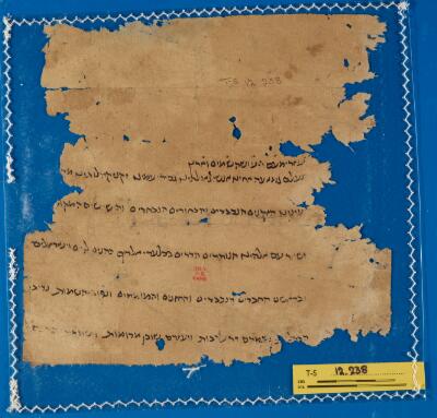 Genizah Fragment T-S 12.238