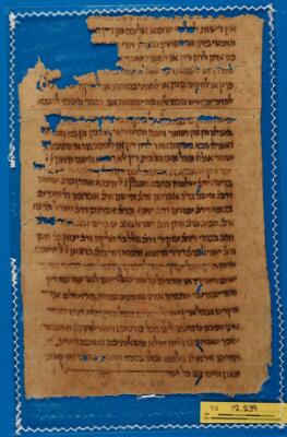 Genizah Fragment T-S 12.239