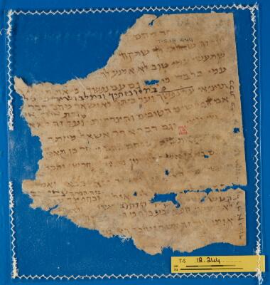 Genizah Fragment T-S 12.244