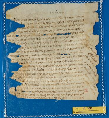 Genizah Fragment T-S 12.250