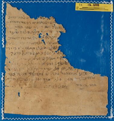 Genizah Fragment T-S 12.258
