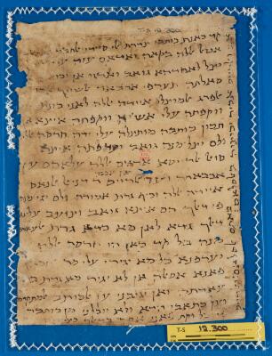 Genizah Fragment T-S 12.300