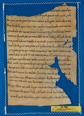 Genizah Fragment T-S 12.301