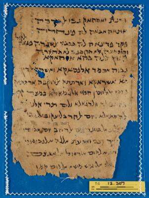Genizah Fragment T-S 12.307