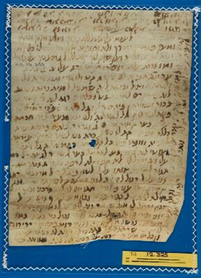 Genizah Fragment T-S 12.325