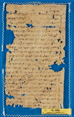 Genizah Fragment T-S 12.355