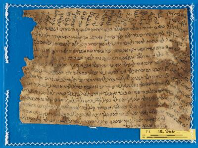 Genizah Fragment T-S 12.366