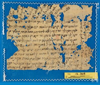 Genizah Fragment T-S 12.368