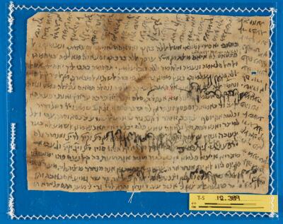 Genizah Fragment T-S 12.389