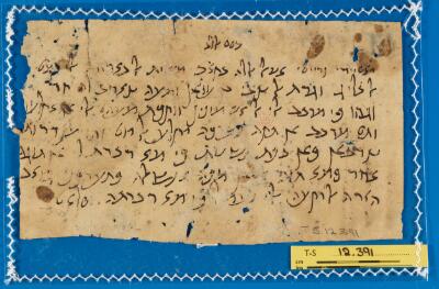 Genizah Fragment T-S 12.391