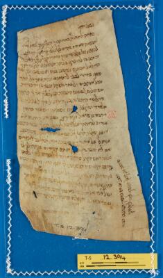 Genizah Fragment T-S 12.394
