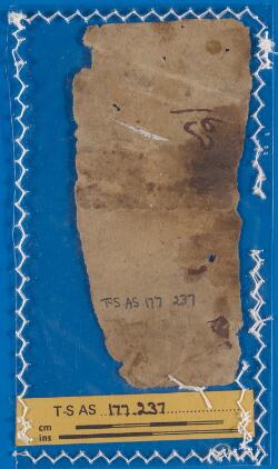 1v