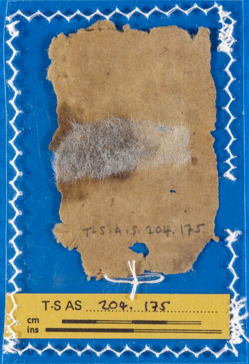 1v