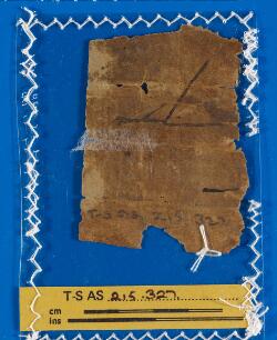 1v