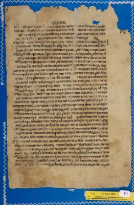 Babylonian Talmud T-S F1(1).43